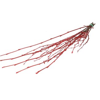4A Dried Birch branches | Colour: Red | Dried decoration | Length ± 70 centimetre | Per 10 branches