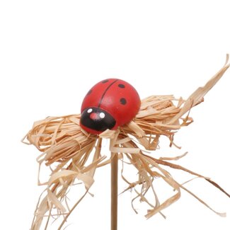 4A Lieveheersbeestje op stok | Kleur: Rood | Diameter 3 centimeter | Lengte ± 10 centimeter | Per 25 bijstekers