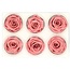 Konservierte Rose | Farbe: Altrosa | Durchmesser 6 centimeter | Pro 6 Rosen