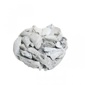4A Gedroogd Drijfhout | Kleur: Natuurlijk Wit | Droogdecoratie | Gewicht 300 - 500 gram | Per verpakking