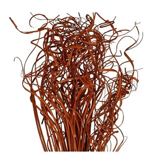 4A Gedroogd Palmblad Nerf | Curly Ting Ting | Kleur: Oranje | Droogdecoratie | Lengte ± 70 centimeter | Gewicht 200 gram | Per bos