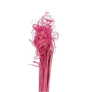 4A Gedroogd Palmblad Nerf | Curly Ting Ting | Kleur: Lichtroze | Droogdecoratie | Lengte ± 70 centimeter | Gewicht 200 gram | Per bos