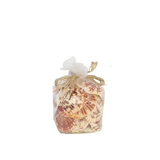 4A Pecten Lentegious Shells | Colour: Red | Contents 500 gram shells | Per bag