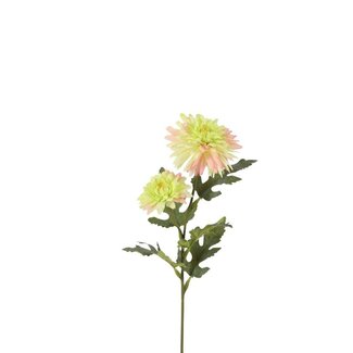 4A Chrysantheme Kunstblume | Farbe: Grün Rosa | Länge ± 51 centimeter | Pro 6 Kunstblumen