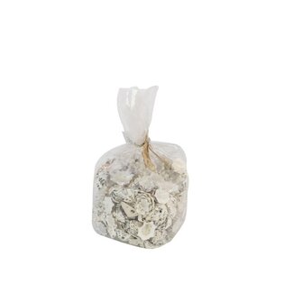 4A Star Limpit Schelpen | Kleur: Grijs | Inhoud 500 gram schelpen | Per zak