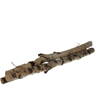 4A Gedroogde Berkentakken | Kleur: Lichtbruin | Droogdecoratie | Lengte ± 60 centimeter | Per 3 takken