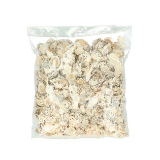 4A Halliotes Pulcherima Shells | Colour: Cream-coloured | Contents 500 gram | Per bag