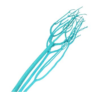 4A Gedroogde Mitsumata vlok Takken | Kleur: Turquoise | Droogdecoratie | Lengte ± 115 centimeter | 3 takken per bos | Per bos