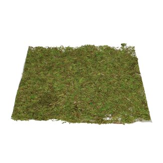 4A Dried Moss Mat Square | Colour: Green | Dried decoration | Diameter 28 centimetre | Per mat