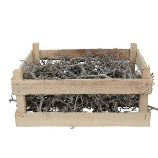 4A Gedroogd Bonsaihout in houten kist | Kleur: Natuurlijk Wit | Breedte 60 centimeter | Lengte 40 centimeter | Per kist