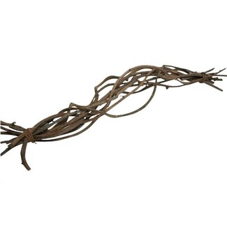 4A Gedroogde Crazy Vine Twijgen | Kleur: Bruin | Droogdecoratie | Lengte ± 60 centimeter | 10 takken per bos | Per bos