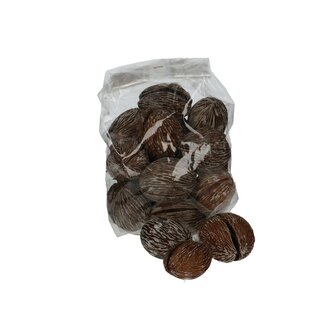 4A Dried Mintolla Seedpod | Pong Pong Mintolla | Colour: Natural White | Dried decoration | Diameter 6 - 10 centimetre | Per 20 seedpods