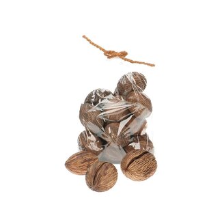 4A Dried Mintolla Seedpod | Pong Pong Mintolla | Colour: Brown | Dried decoration | Diameter 6 - 10 centimetre | Per 20 seedpods
