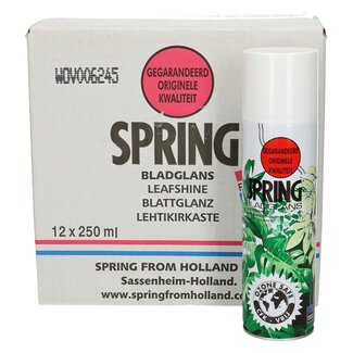 4A Care Spring Leaf Shine 36oz 250ml