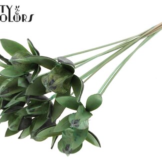 QC Wild Lily seedpod on stem | Colour: Frosted Mint green | Length stem pick ± 50 centimetre | Per 10 stem picks
