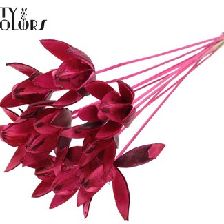 QC Wild Lily seed pod on stem | Colour: Cherry-coloured | Length stem pick ± 50 centimeter | Per 10 stem picks