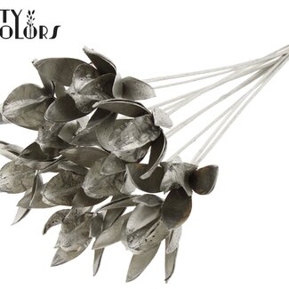 QC Wild Lily seedpod on stake | Colour: Platinum-coloured | Length stem pick ± 50 centimetre | Per 10 stem picks