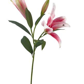 Arti Flora Lily artificial flower | Colour: Light pink | Lillium artificial flowers | Length ± 90 centimetre | 3 flower heads per stem | Per piece