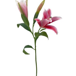 Arti Flora Lily artificial flower | Colour: Pink | Lillium artificial flowers | Length ± 90 centimetre | 3 flower heads per stem | Per piece