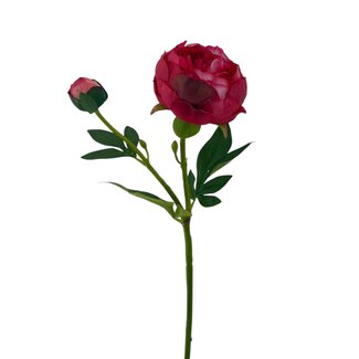 Arti Flora Peony Artificial Flower | Colour: Red | Length ± 55 centimetre | 2 flower heads per stem | Per piece