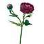 Pioenroos Kunstbloem | Kleur: Fuchsia | Lengte ± 55 centimeter | 2 bloemkoppen per steel | Per kunstbloem