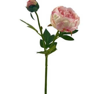 Arti Flora Peony Artificial Flower | Colour: Pink | Length ± 55 centimetre | 2 flower heads per stem | Per piece