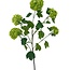 Snowball artificial flower | Colour: Green | Viburnum Opulus artificial flowers | Length ± 80 centimeter | Per piece