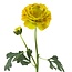 Ranunculus Artificial Flower | Colour: Yellow | Ranunculus artificial flowers | Length ± 45 centimetre | 2 flower heads per stem | Each