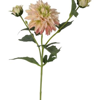 Arti Flora Dahlia Artificial flower | Colour: Light pink | Length ± 60 centimeter | 3 flower heads per stem | Per piece