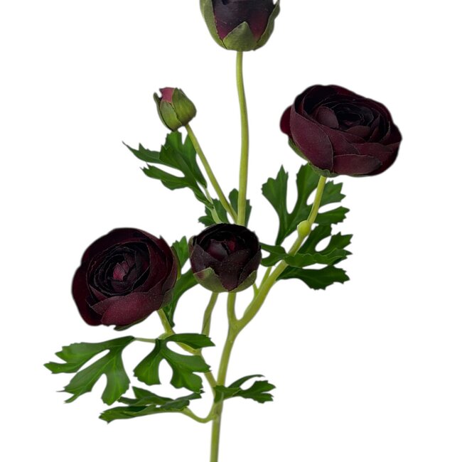 Ranonkel Kunstbloem | Kleur: Bordeauxrood | Ranunculus kunstbloemen | Lengte ± 50 centimeter | 3 bloemkoppen per steel | Per kunstbloem