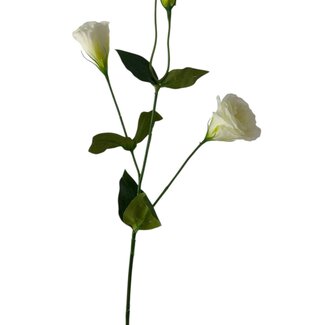 Arti Flora Lisianthus Kunstbloem | Kleur: Natuurlijk Wit | Eustoma kunstbloemen | Lengte ± 65 centimeter | Per kunstbloem