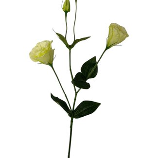 Arti Flora Lisianthus artificial flower | Colour: Green | Eustoma artificial flowers | Length ± 65 centimetre | Per piece