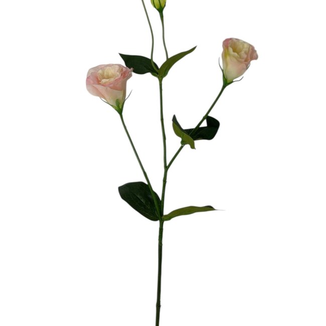 Lisianthus Kunstbloem | Kleur: Roze | Eustoma kunstbloemen | Lengte ± 65 centimeter | Per kunstbloem
