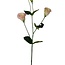 Lisianthus artificial flower | Colour: Pink | Eustoma artificial flowers | Length ± 65 centimetre | Per piece