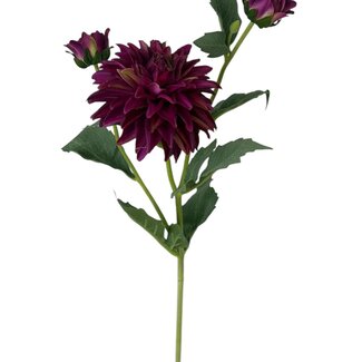 Arti Flora Dahlia Artificial flower | Colour: Fuchsia | Length ± 60 centimeter | 3 flower heads per stem | Per piece