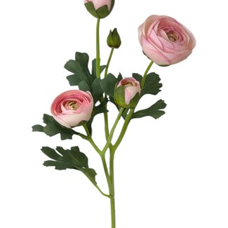 Arti Flora Ranunculus Artificial Flower | Colour: Light pink | Ranunculus artificial flowers | Length ± 50 centimeter | 3 flower heads per stem | Per piece