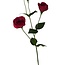 Lisianthus Artificial flower | Colour: Red | Eustoma artificial flowers | Length ± 65 centimetre | Per piece