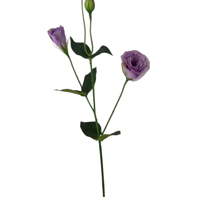 Lisianthus Kunstbloem | Kleur: Lila Paars | Eustoma kunstbloemen | Lengte ± 65 centimeter | Per kunstbloem