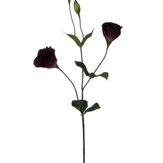 Arti Flora Lisianthus Artificial Flower | Colour: Bordeaux red | Eustoma artificial flowers | Length ± 65 centimetre | Per piece
