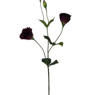 Arti Flora Lisianthus Kunstblume | Farbe: Bordeauxrot | Eustoma Kunstblumen | Länge ± 65 centimeter | Pro Stück