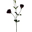 Lisianthus Artificial flower | Colour: Bordeaux red | Eustoma artificial flowers | Length ± 65 centimetre | Per piece