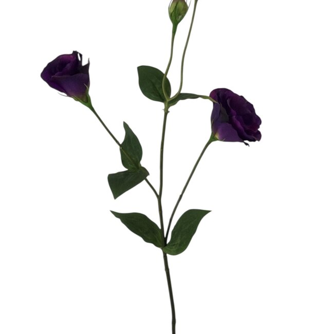 Lisianthus Artificial flower | Colour: Purple | Eustoma artificial flowers | Length ± 65 centimeter | Per piece