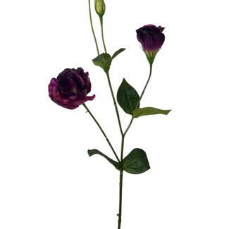 Arti Flora Lisianthus Kunstbloem | Kleur: Donkerpaars | Eustoma kunstbloemen | Lengte ± 65 centimeter | Per kunstbloem