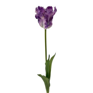 Arti Flora Parakeet Tulip Artificial flower | Colour: Purple White | Tulipa artificial flowers | Length ± 60 centimetre | Per piece