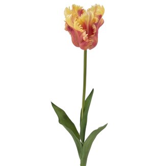 Arti Flora Parakeet Tulip Artificial Flower | Colour: Yellow-orange | Tulipa artificial flowers | Length ± 60 centimetre | Per piece