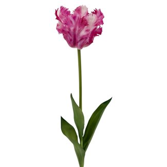 Arti Flora Parakeet Tulip Artificial Flower | Colour: Pink White | Tulipa artificial flowers | Length ± 60 centimetre | Each