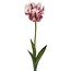 Parakeet Tulip Artificial Flower | Colour: White Purple | Tulip artificial flowers | Length ± 60 centimeter | Per piece