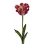 Parkiet Tulpe Kunstblume | Farbe: Weiß Rot | Tulipa Kunstblumen | Länge ± 60 centimeter | Pro Stück