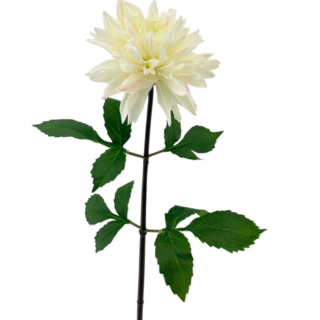 Dahlia Artificial Flower | Colour: Natural White | Length ± 70 centimetre | Per piece