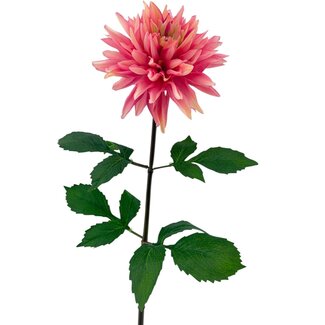 Arti Flora Dahlia Artificial Flower | Colour: Pink | Length ± 70 centimeter | Per piece